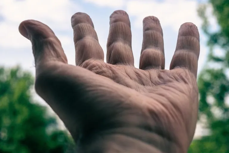 Photo d'une main - illustration article sur le collagène et l'acide hyaluronique - Natali Nature Bio