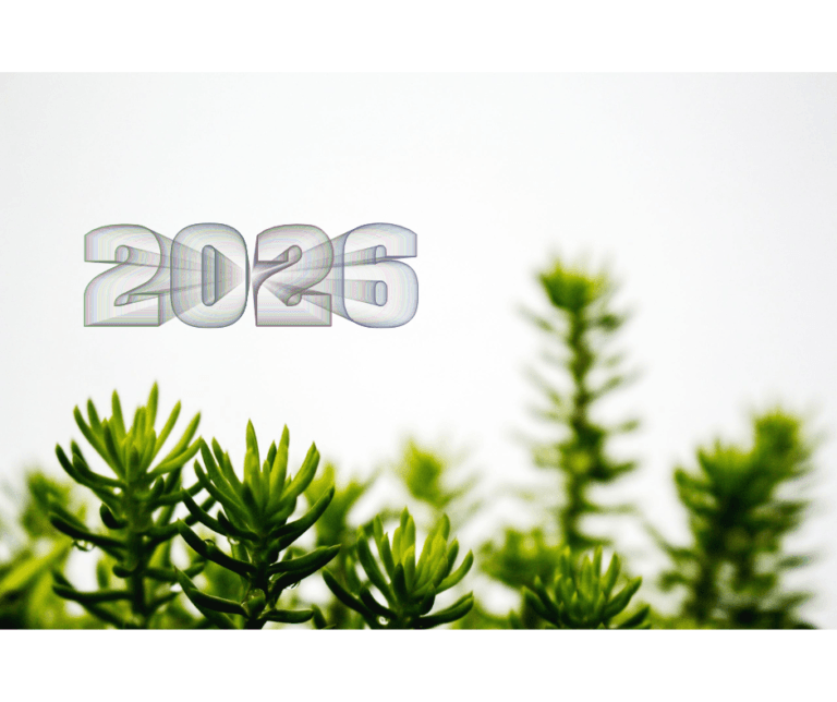 Bonne année 2026 - Natali Nature Bio