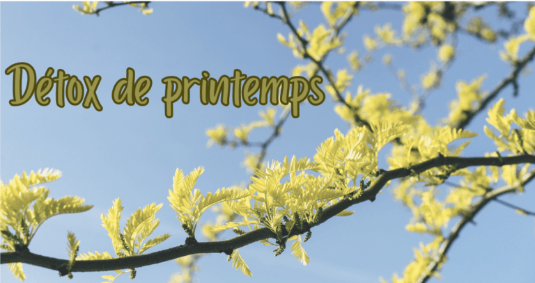 Photo d'illustration de l'article Détox de printemps