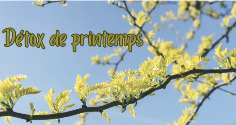Photo d'illustration de l'article Détox de printemps