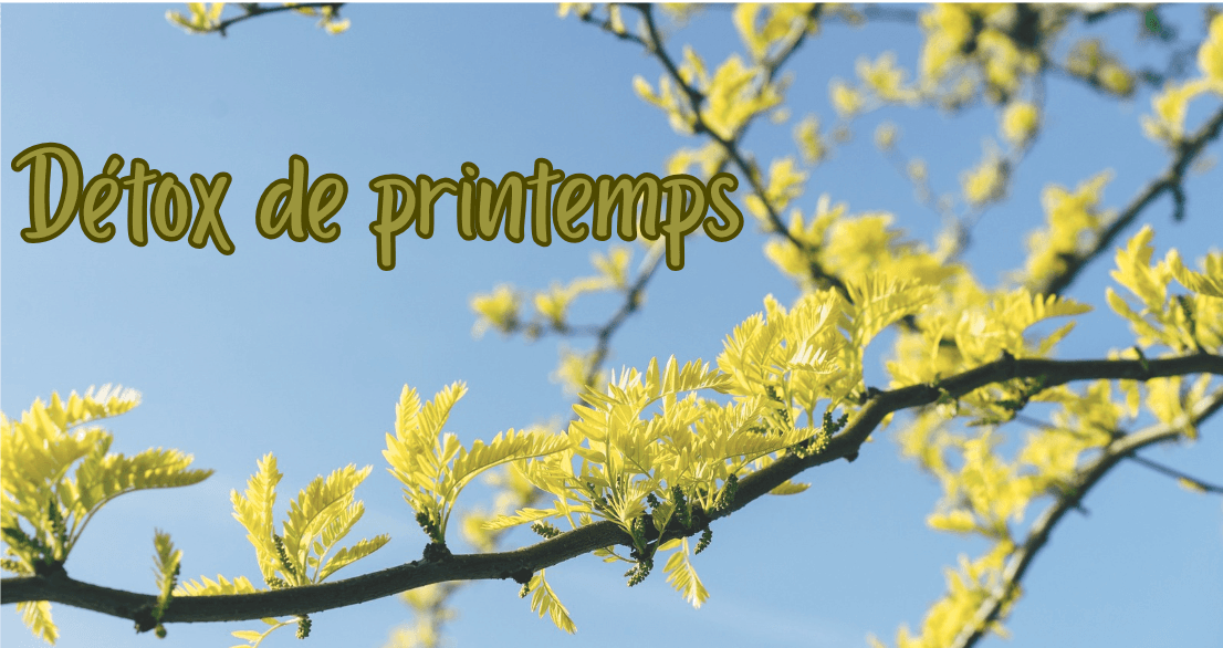 Photo d'illustration de l'article Détox de printemps