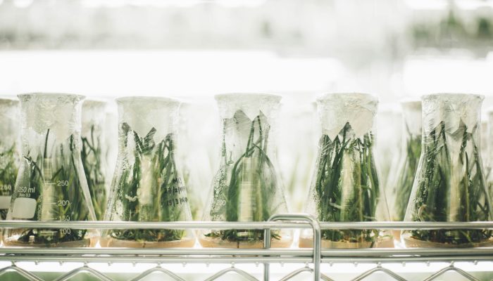 Photo d'illustration laboratoire - Natali Nature Bio