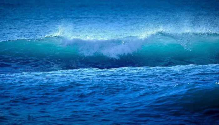 Photo de l'océan - illustration article compléments alimentaires - Natali Nature Bio